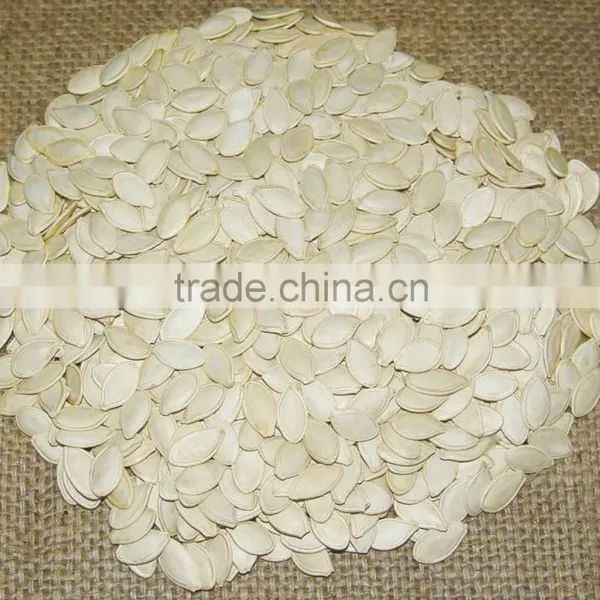 PUMPKIN SEED/SHINE SKIN PUMPKIN SEED photo-4