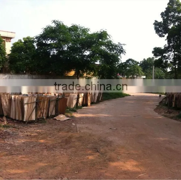 Acacia/Eucalyptus Core Veneer photo-6