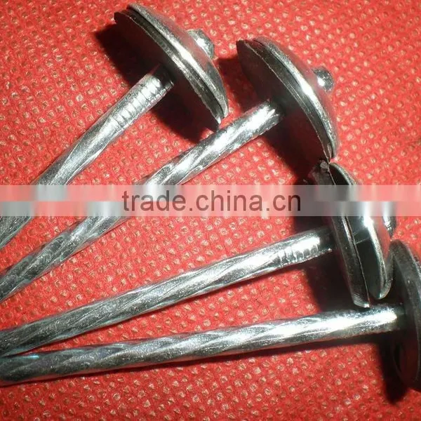 Fast Sell Good Quanlity Umbrella Head Twisted Nails photo-2