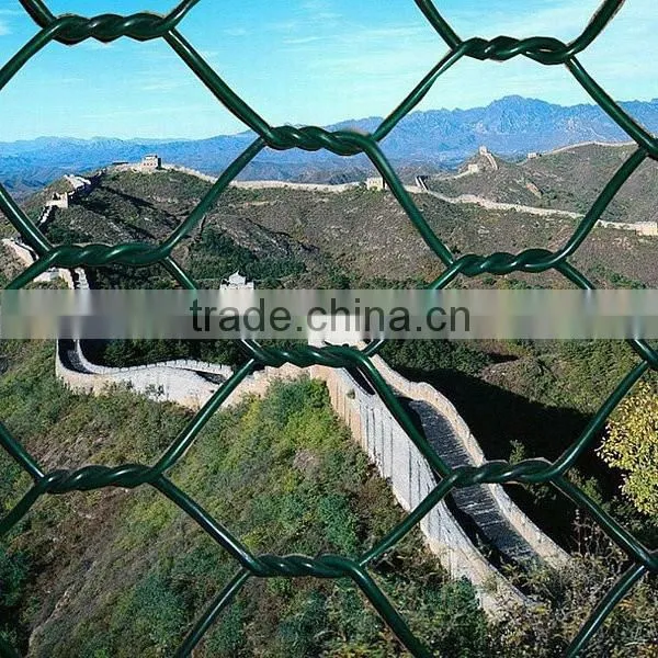 Best Quality Fence Mesh Chicken Wire Mesh 1/2-4 Inch photo-4