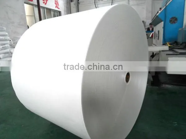 PE Coated Paper Cup Fan