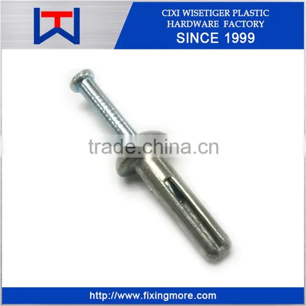 Hammer Drive Anchor With Nail