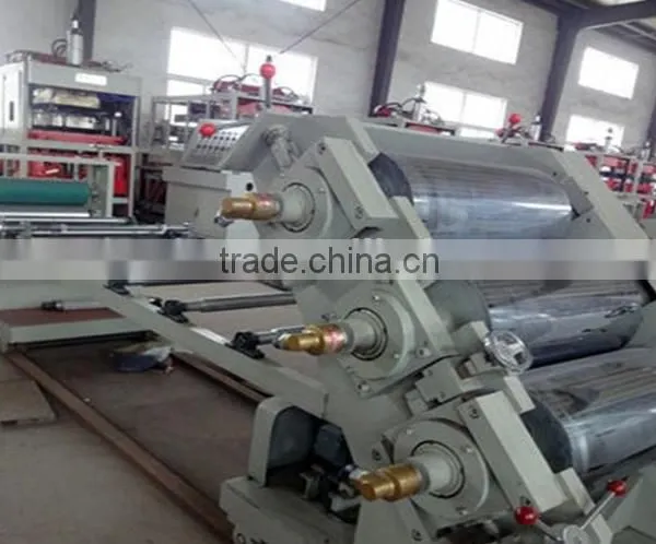Disposable Cup Extruder Machine/CE Certificate Disposable Cup And Plate Production Line photo-5
