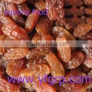 Sell Snack Sultana Raisin With Cheap Price photo-2
