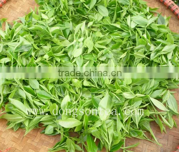 Vietnam Famous Natural GREEN TEA photo-5