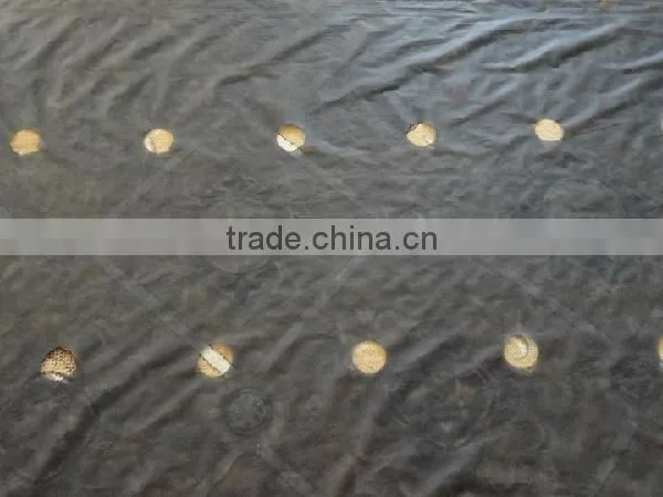 Landscape Fabric,Weed Barrier in Low Price of High Quality photo-5