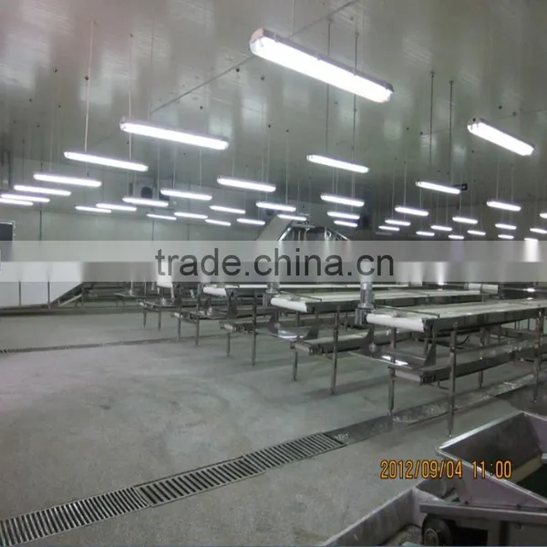 YTF type no damage cherry sorting /grading line/sieving machine/sorting machine/ sorter/ classifier/