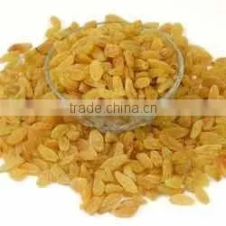 Raisins photo-2