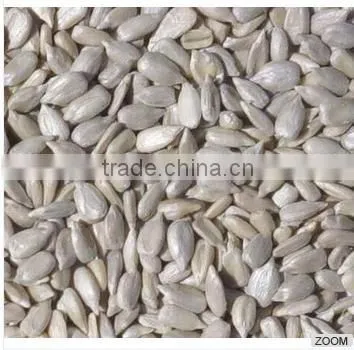 High Quality Hulled Sunflower Kernels | Sunflower Kernels Bakery Grade