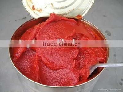 Wholesale Double Concentrated Canned Tin Gino 28-30% Tomato Paste Pasta Factory Supplier Exporter photo-6
