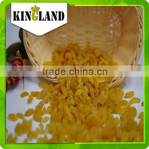 Wholesale All Types of Gold Raisin With Best Price and High Quality photo-5