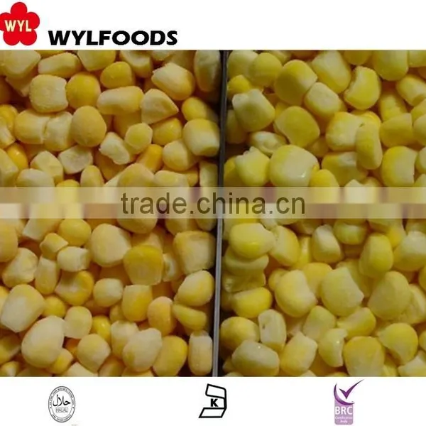 High Quality Iqf Frozen Sweet Corn photo-4