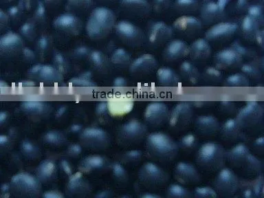 Organic Black Soybean(green Inside)