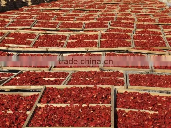 Natural Sun Dried Tomato With Best Price photo-3
