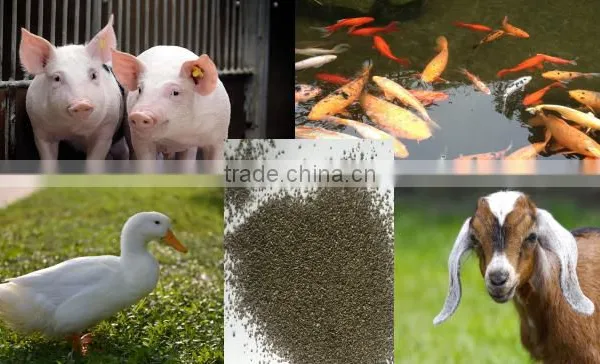 Cattle,Horse,Chicken,Dog,Pig,Fish Use and Seaweed Powder Type Feed Grade Kelp Meal photo-4