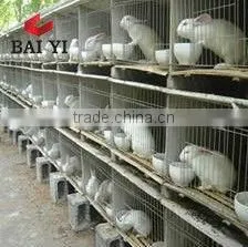 Metal Rabbit Cage Manufacture