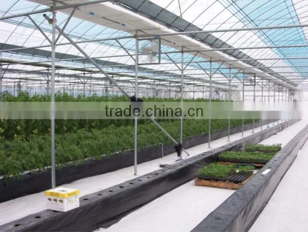 Hydroponic Cultivation photo-3