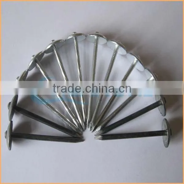 Top Quality Galvanised Roofing Nail With Umbrella Head Trusted Chuanghe Suppliers From Com photo-4