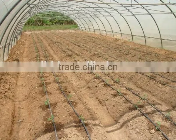 Polythene Film Solar Greenhouse For Vegetables photo-6