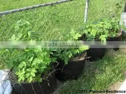 Degradable Pots for Three Nonwoven Plant Grow Bags (1 Gal to 1200 Gal) photo-4