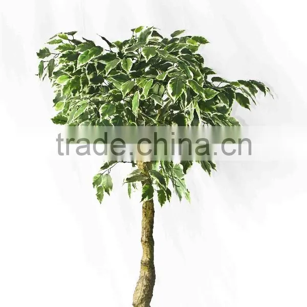 Artificial Green Potted Trees photo-6