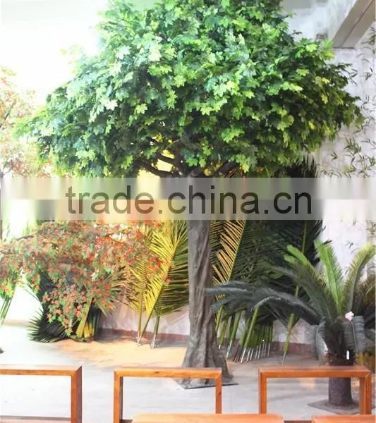 Home Garden Decoration 100cm to 1000cm Height Artificial Indoor Live Plastic Ficus Red With Green Palm Tree EZLS05 1007 photo-5