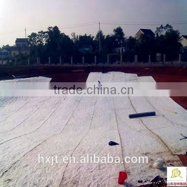 Geosynthetic Clay Liner (GCL) for Landfill and Environmental Protection Geomambrane Clay Liner photo-6
