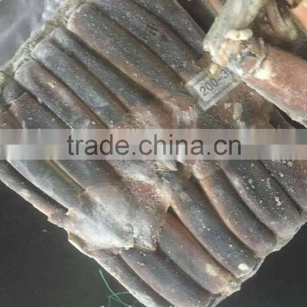 200-300G Frozen Argentina Squid For Thailand photo-4