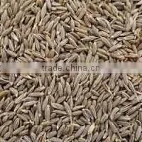 Cumin Seeds