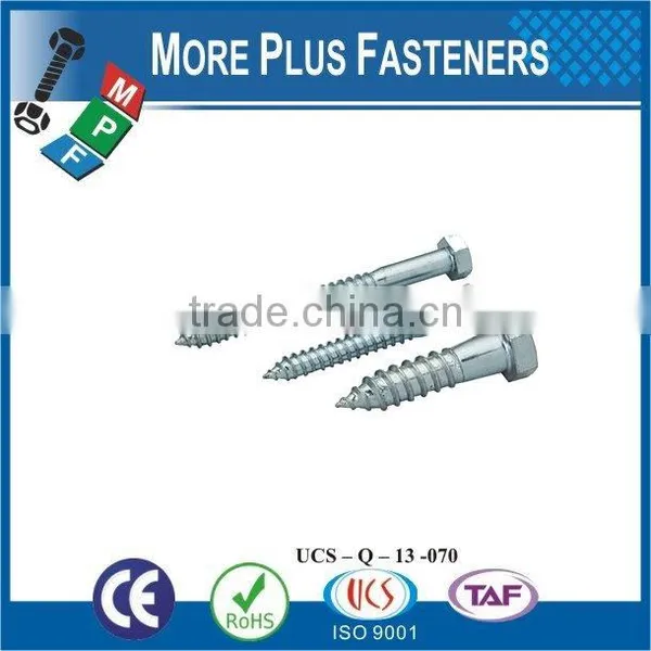 Made in Taiwan Stainless Steel Lag Screw Wood Screw Hex Lag Bolt photo-4