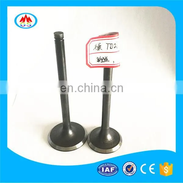 Bikes Accessories Parts Racing Engine Valves for Honda Forza 125 150 250 cc photo-7