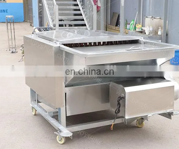 Automatic Poultry Plucker Rubber Fingers Duck Plucking Machine Chicken Scalding and Plucker for Sale photo-4