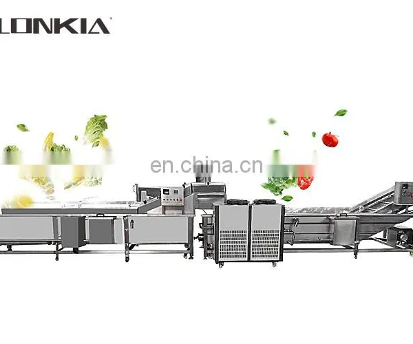 Automatic Vegetable Blanching Machine Fruit Processing Fruit Vegetable Blanching Machine photo-3