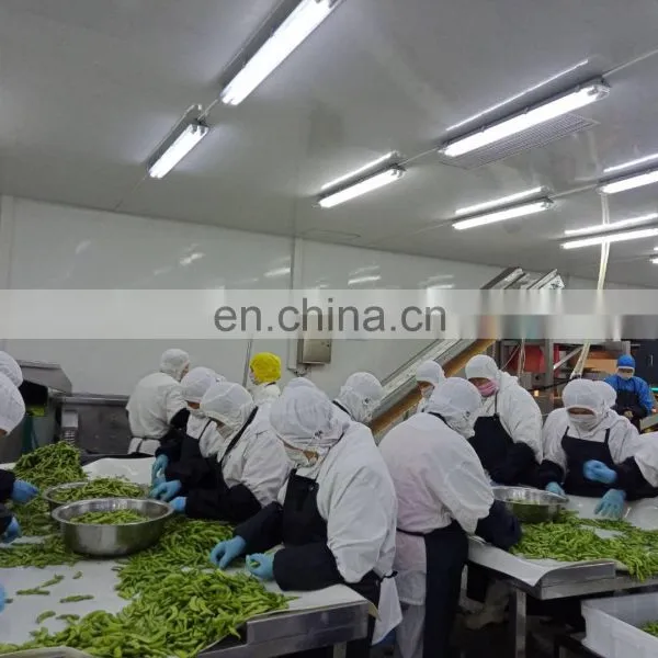 Sinochorm A Grade Wholesale Good Quality IQF Frozen Green Edamame Soy Bean Green photo-3