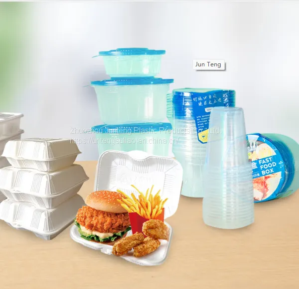 CT5 Factory Customize Disposable Hinged Lid Clamshell Blister Food Container for Buger Noodles