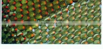 Glass Marble