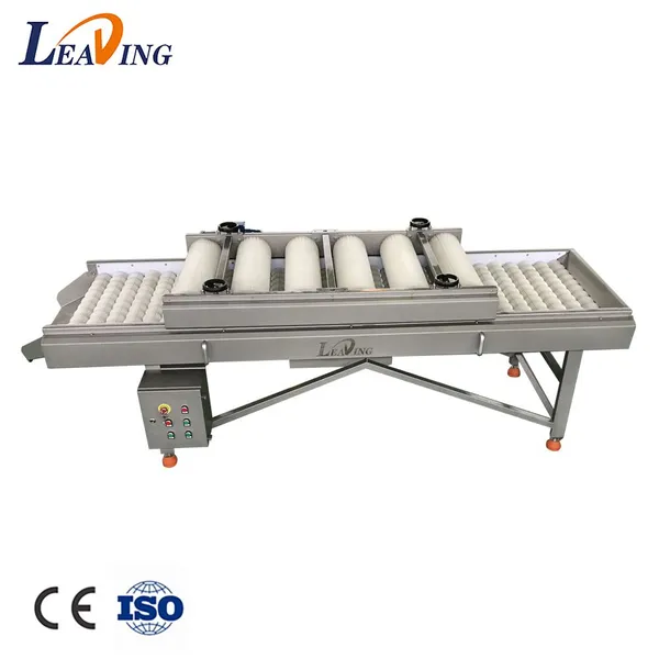 Turnkey Solution Industrial Automatic Palm Dates Processing Machine Whole Line Dates Washing Grading Pitting Packing Machine photo-5