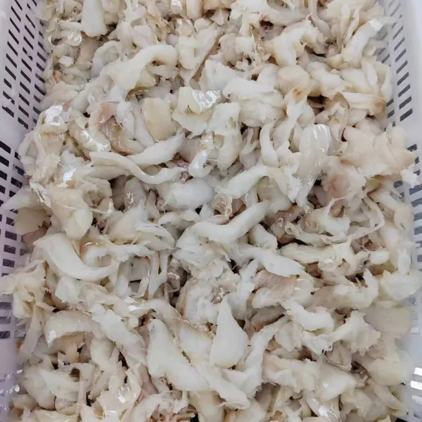 Frozen Pacific Cod Bites and Pieces