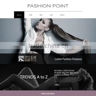 Php Development Company photo-4
