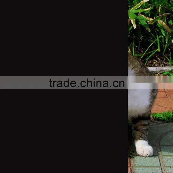Factory Supply Hot Sale Adhesive Black Static Window Film photo-2