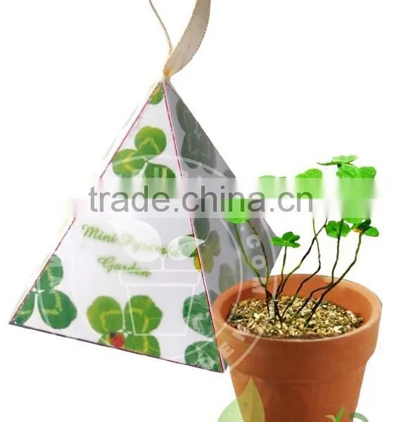 Mini Pyramid Garden, Flower Garden,lavender photo-2