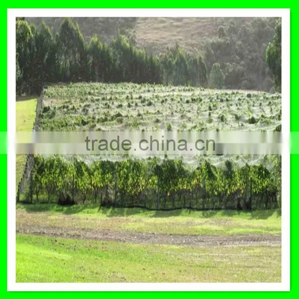 Supply Vineyard Anti Bird Net/bird Capture Nets With Low Price photo-5