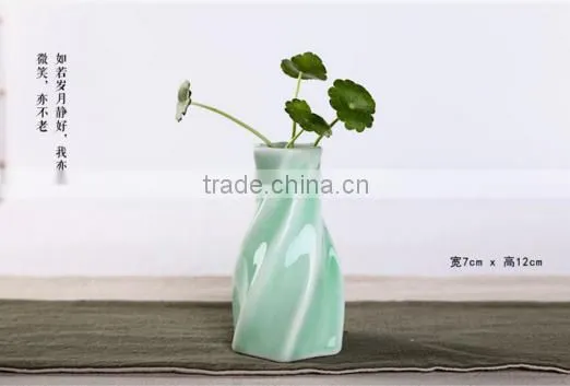 A Hydroponic Plant Floret Bottle of Flower HY167201 photo-6