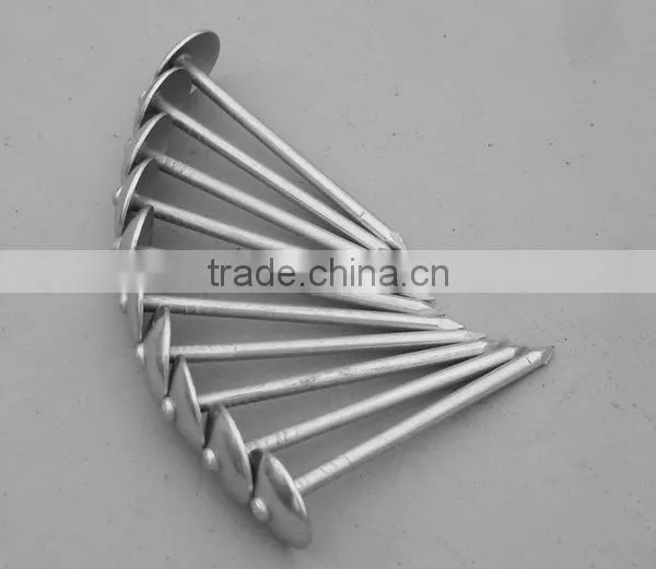 Low Carbon Nail Wire for Making Nails Nail Wire Stainless Steel photo-2