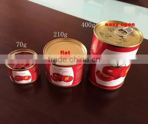 2016 New Products Canned Tomato Paste With Premium Grade photo-4