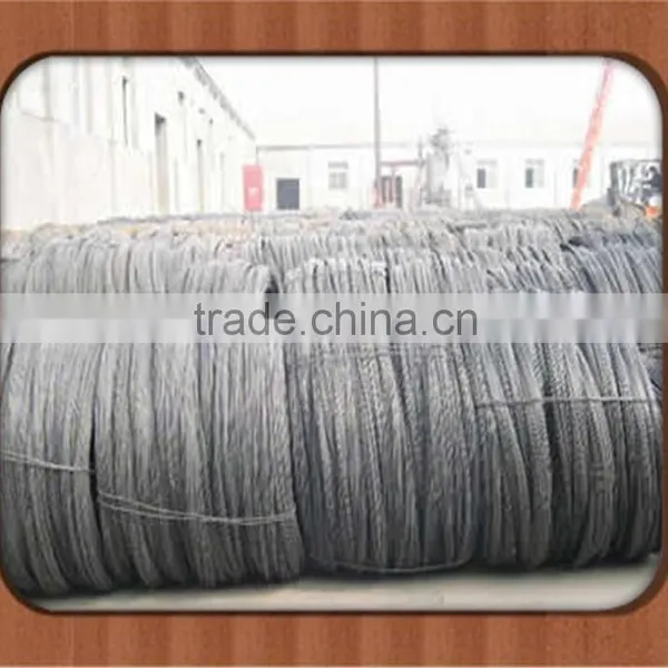 High Carbon Spring Steel Wire Rod photo-3