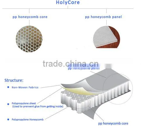 pp Honeycomb Panel/car Sheet/FRP photo-3