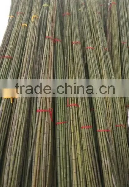 Bamboo Poles and Bamboo Bent Pole photo-2