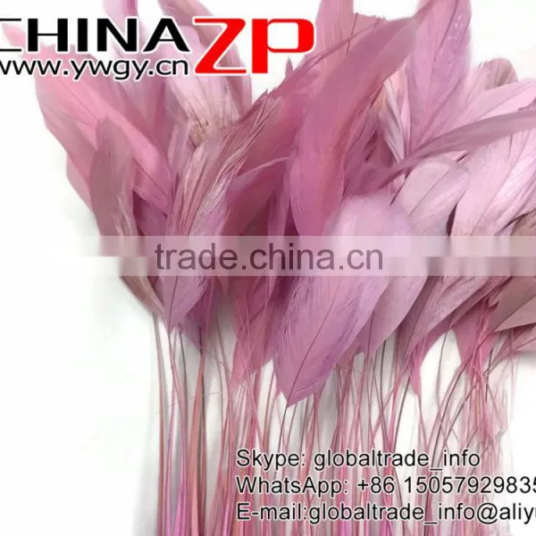 Leading Supplier CHINAZP 10-15cm Length Decorative Dyed Light Pink Stripped Coque Chicken Tail Feathers photo-2