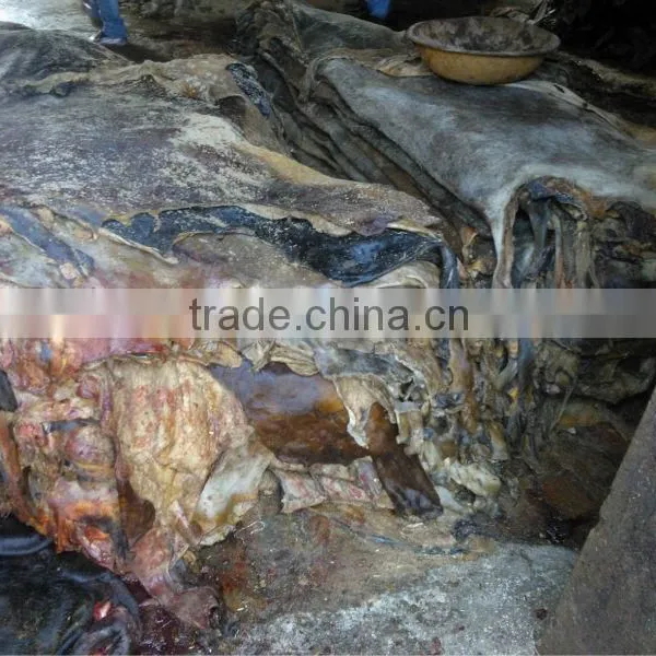 Buffalo Skin photo-2